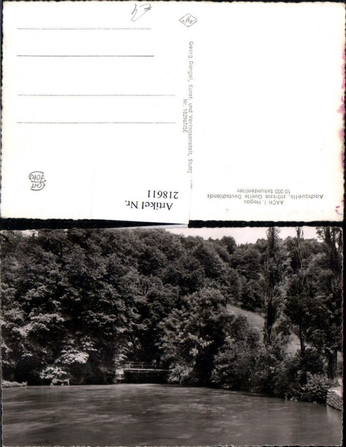 218611,Aach i. Hegau Aachquelle