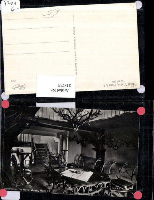 218735,Hotel Vialon b. Horn Bad Meinberg Jagdzimmer Innenansicht