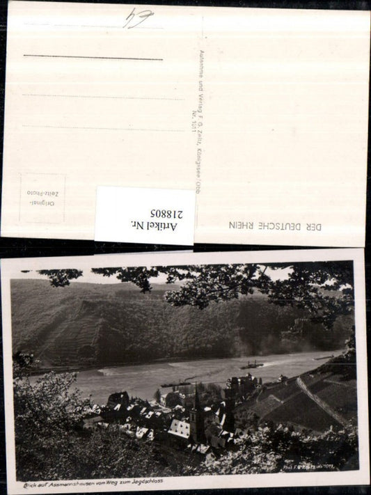 218805,Blick auf Assmannshausen vom Weg zum Jagdschloss Teilansicht