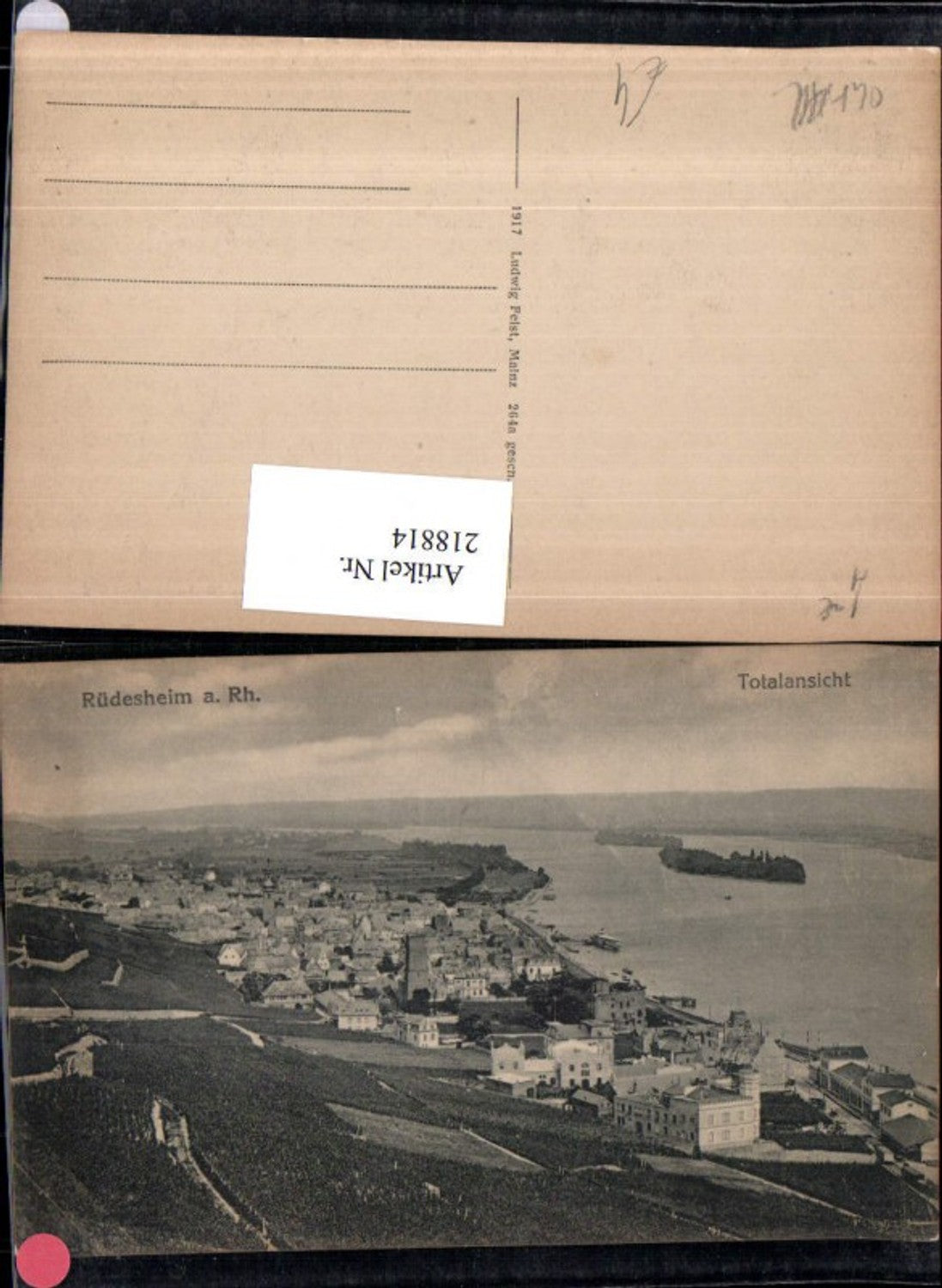 218814,Rüdesheim a. Rhein Totale