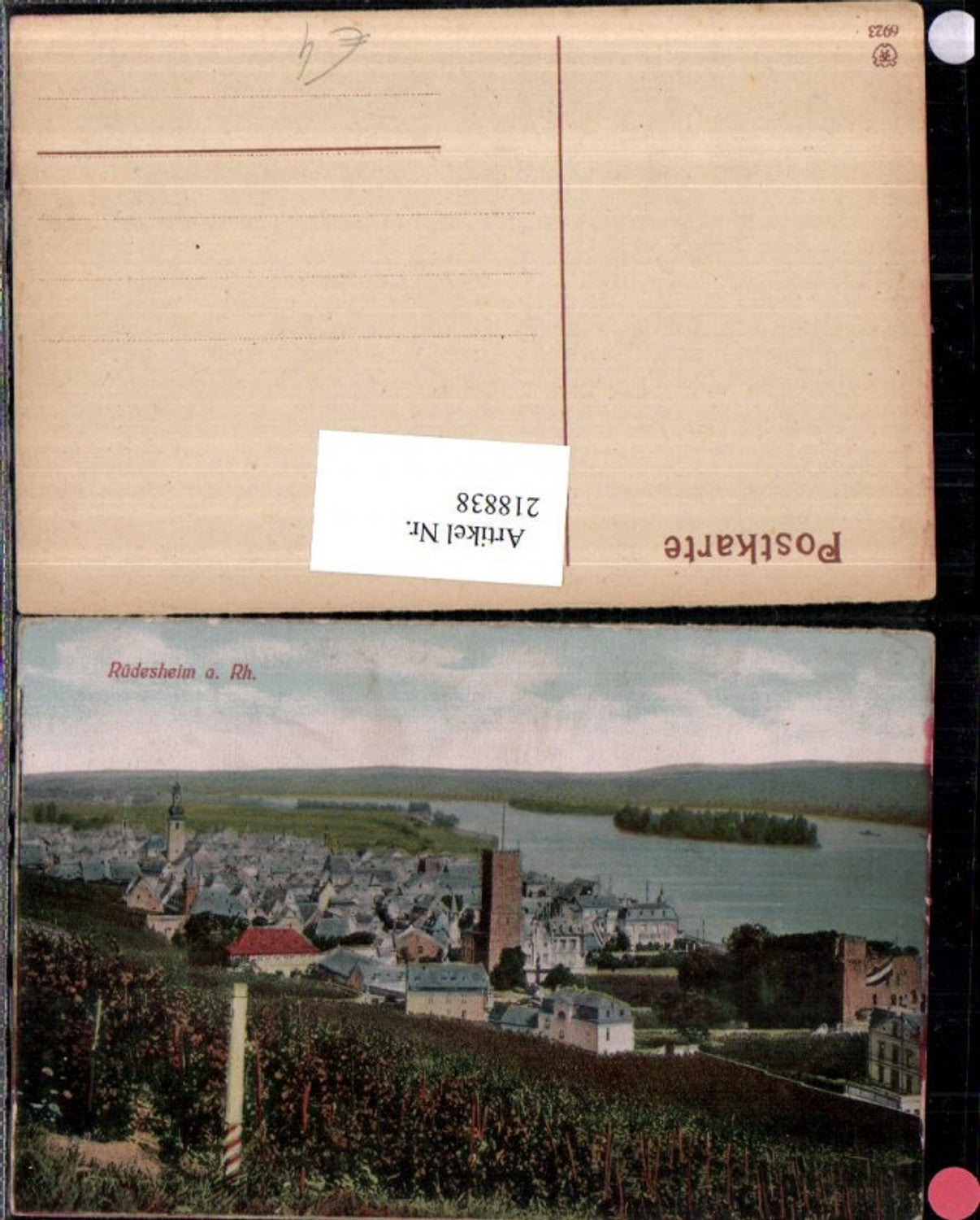 218838,Rüdesheim a. Rhein Totale