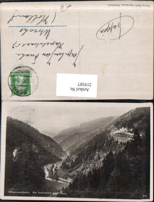 219207, Black Forest Railway, Am Seelenwald near Triberg
