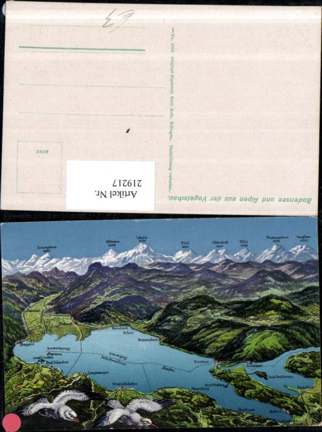 219217,Lake Constance and the Alps from a bird's-eye view Meersburg Ermalingen Constance Lindau Friedrichshafen