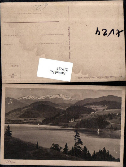 219237, Titisee in the Black Forest Lake