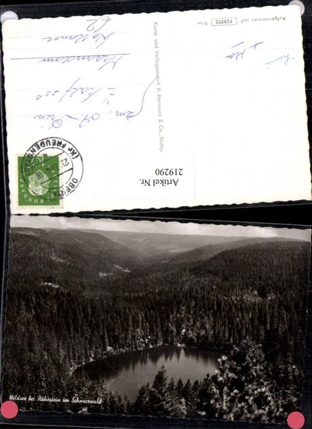 219290,Wildsee b. Ruhestein im Schwarzwald See