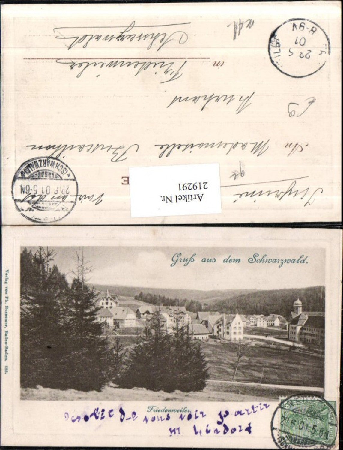 219291,Präge AK Gruß aus d. Schwarzwald Friedenweiler Teilansicht