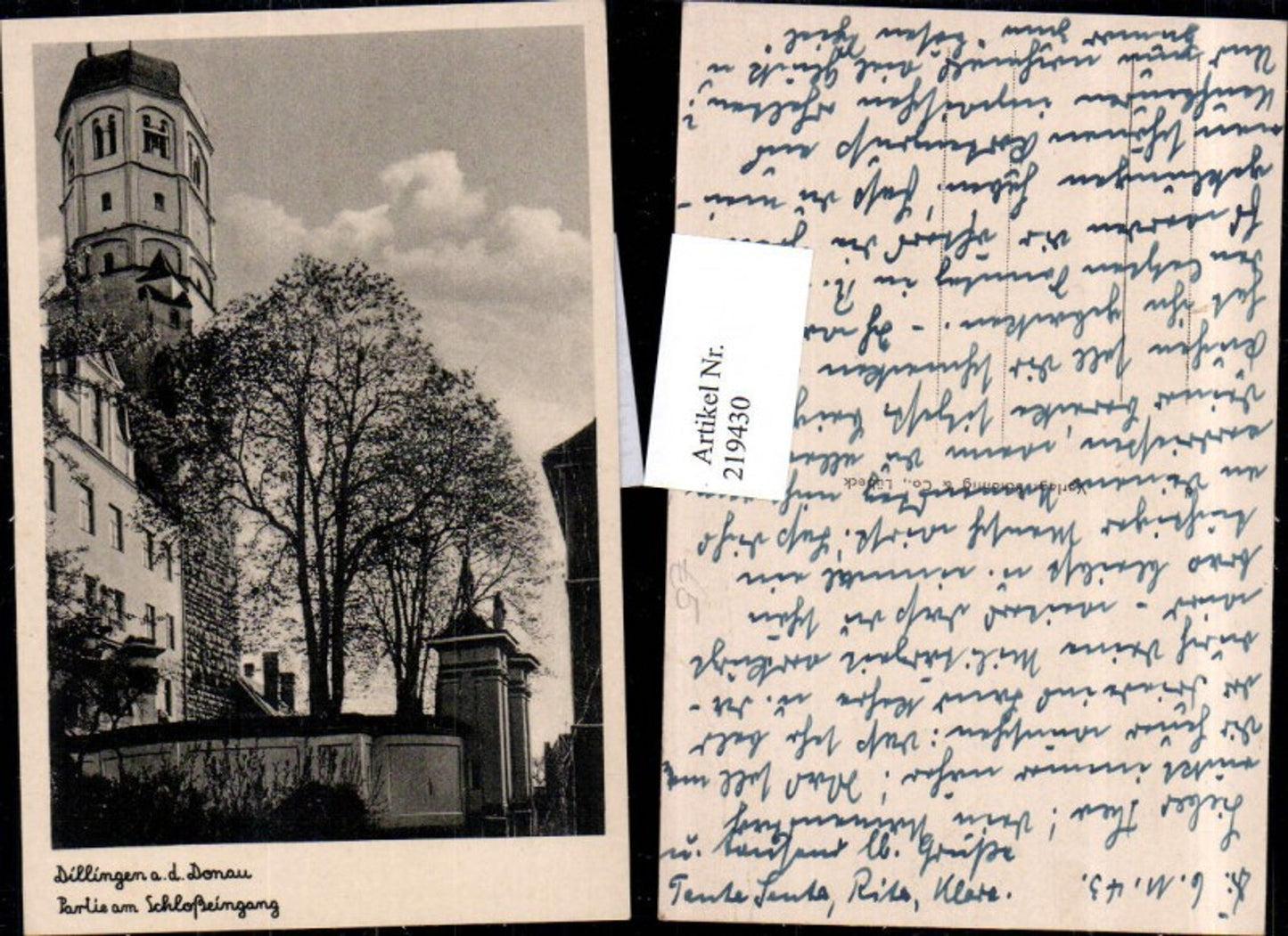 219430,Dillingen a. d. Donau Partie am Schlosseingang Schloss