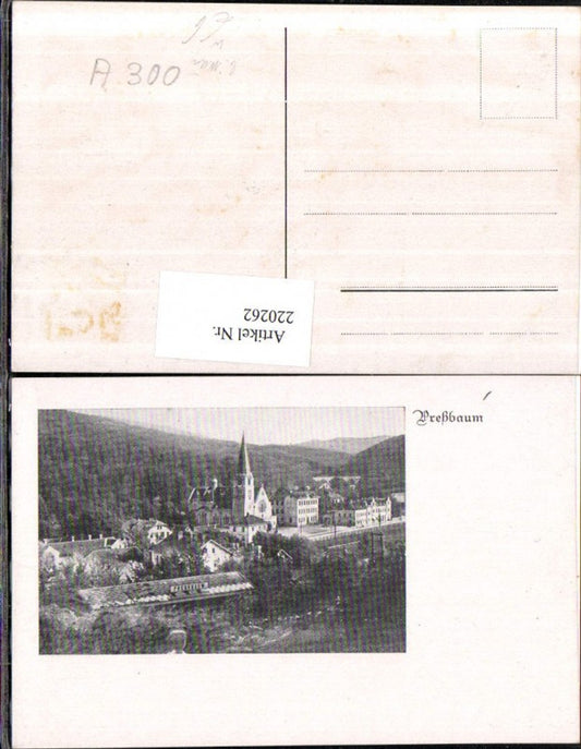 220262,Preßbaum Pressbaum b. Wien Teilansicht