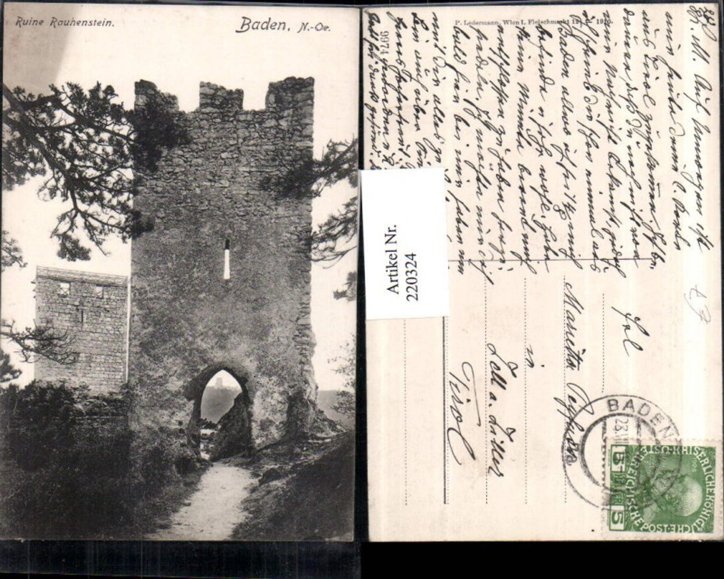 220324,Baden Ruine Rauhenstein