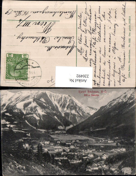 220492,Reichenau Totale m. Gebirge