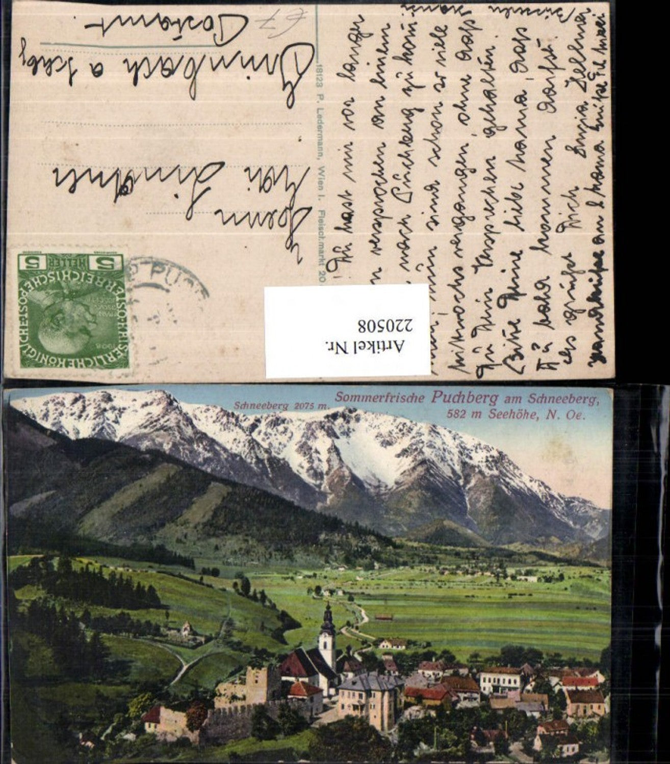 220508,Puchberg a. Schneeberg Teilansicht m. Schneeberg