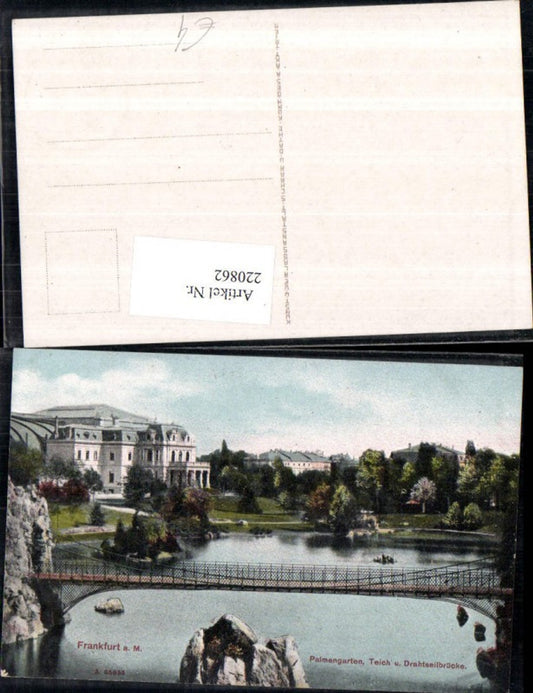 220862,Frankfurt a. Main Palmengarten Teich u. Drahtseilbrücke Brücke