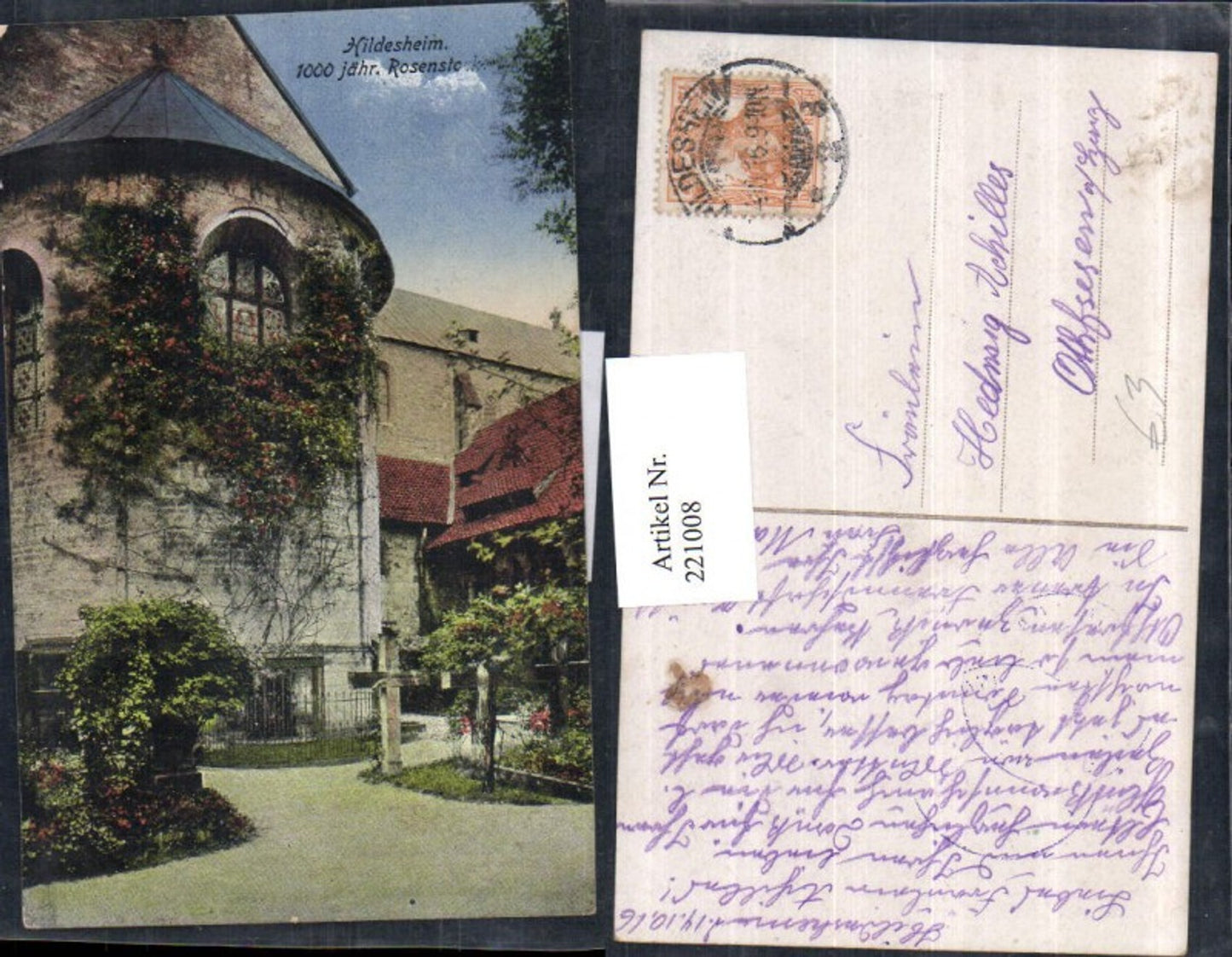 221008,Hildesheim 1000 jähriger Rosenstock