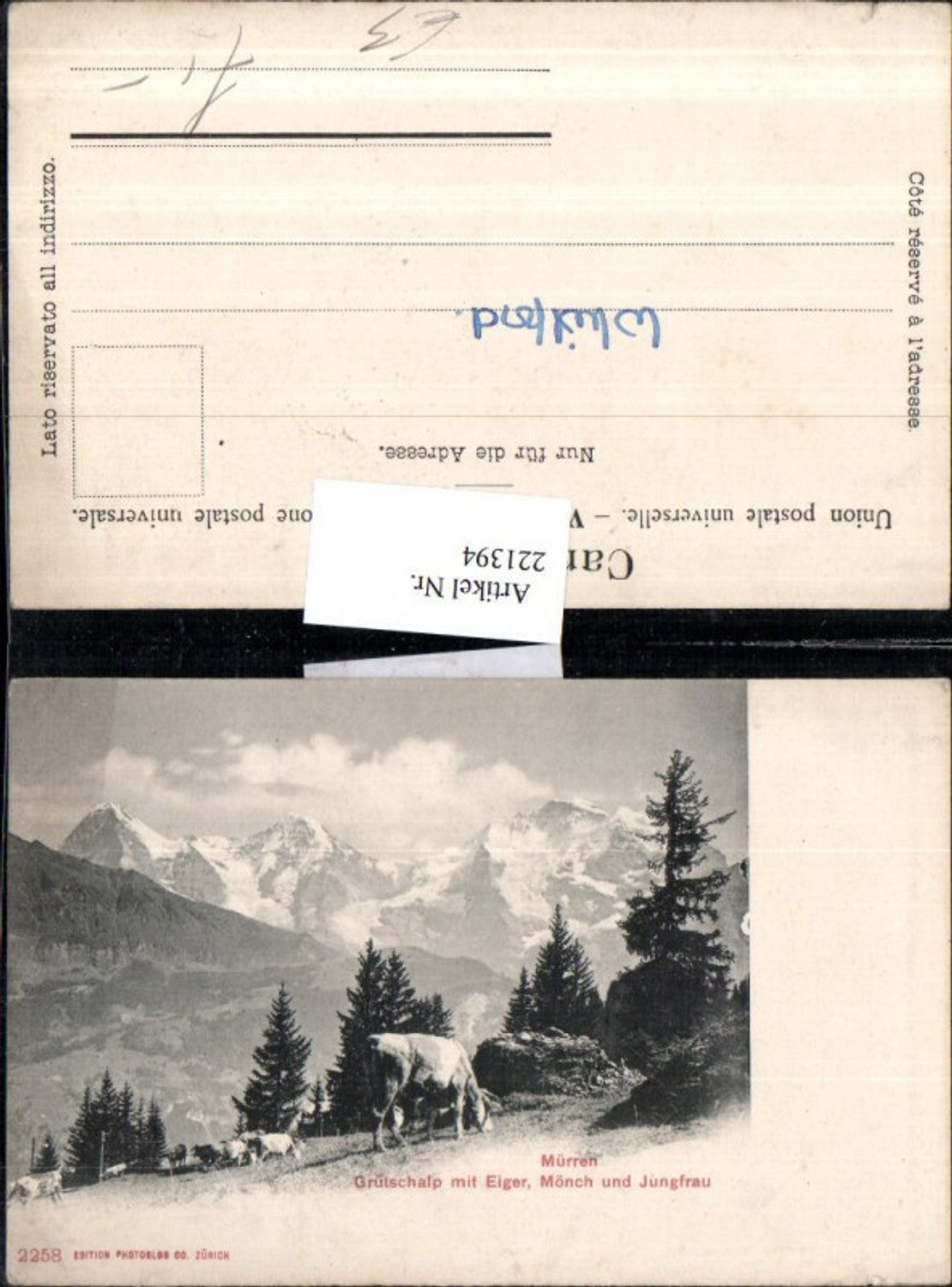 Alte Ansichtskarte – Old Postcard