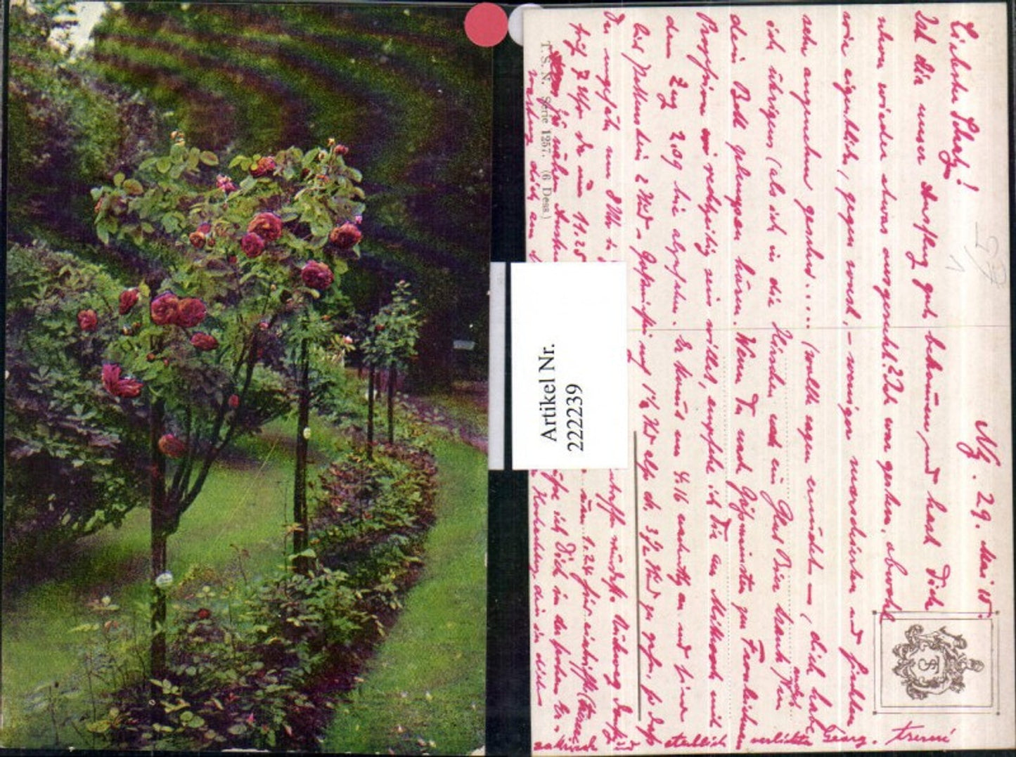 222239,Theo Stroefer Verlag 1257 Rosen Rosenstrauch Partie