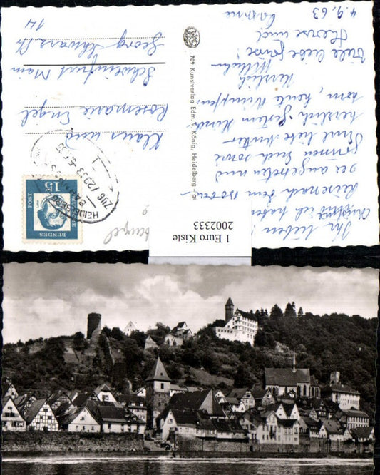 2002333,Hirschhorn am Neckar Teilansicht