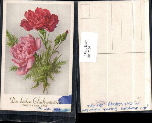 2002564,Geburtstag Blumenstrauß Nelken Blumen