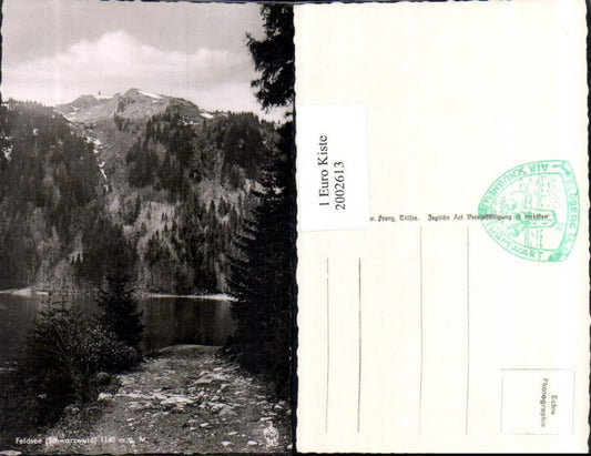 2002613,Feldsee im Schwarzwald See Partie