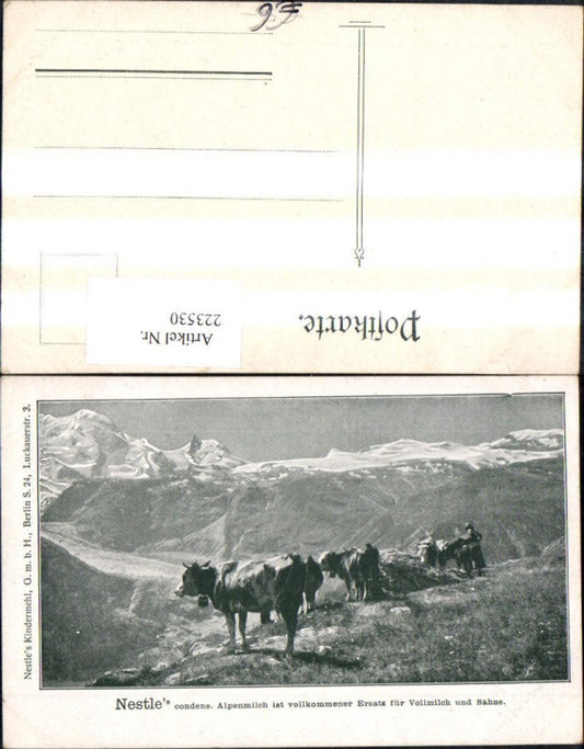 223530,Reklame Ak Nestle condens. Alpenmilch i. vollkommener Ersatz f. Vollmilch u. Sahne Kühe v. Bergkulisse