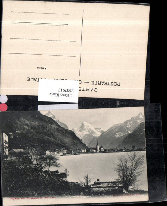 2002917,Flüelen m. Bristenstock Partie Kt Uri