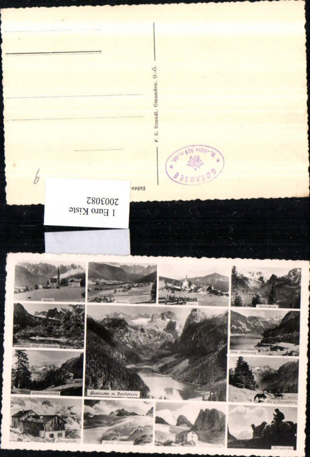 2003082,Gosausee See m. Dachstein Totale Zwieselalm Berghirte Gletscher Simonyhütte Mehrbildkarte