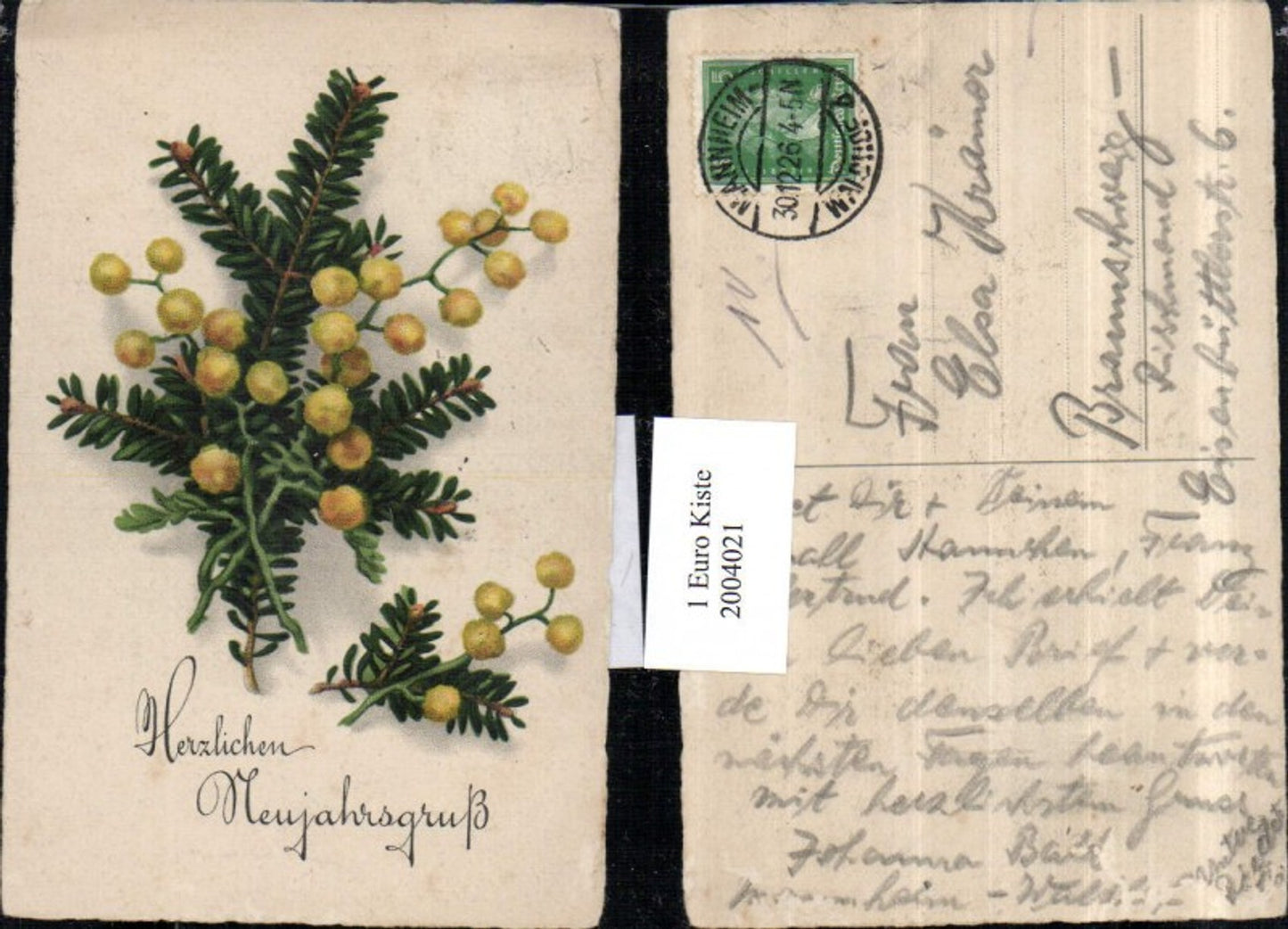 2004021,Neujahr Tannenzweig Zweige