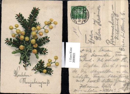 2004021,Neujahr Tannenzweig Zweige