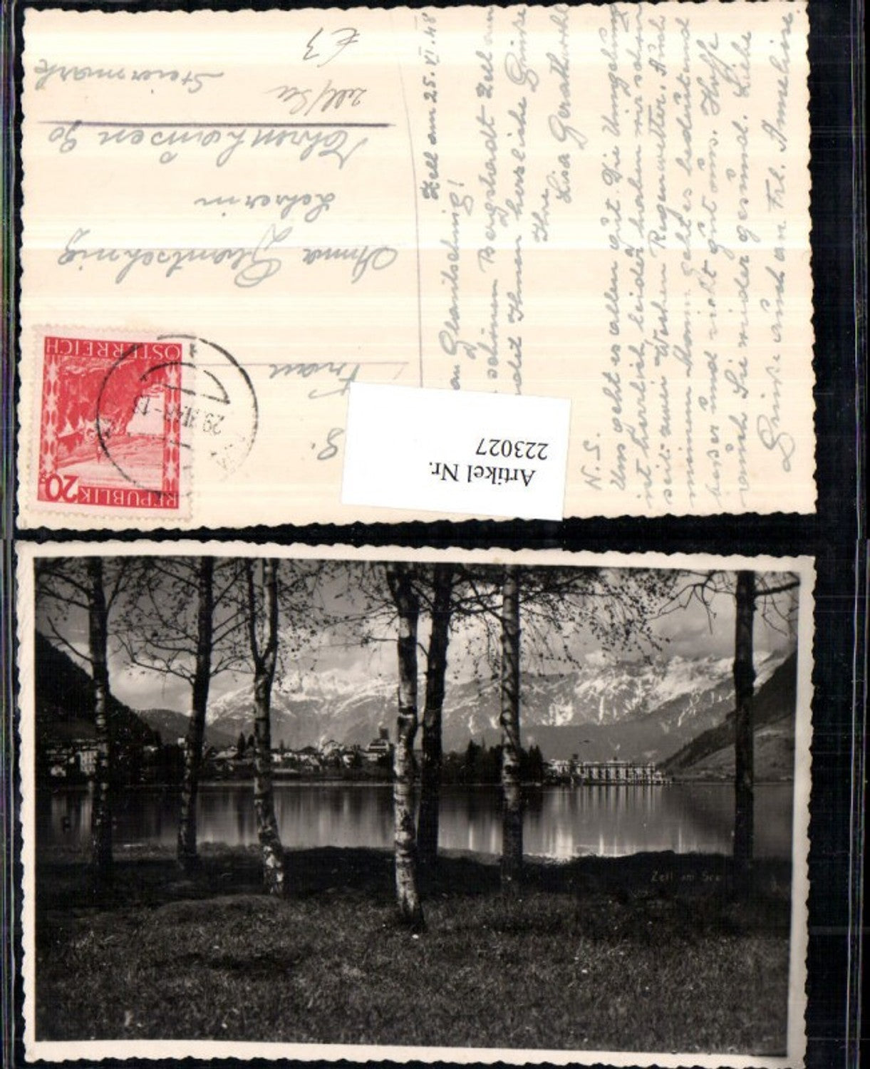 223027,Zell a. See Teilansicht Partie Birken