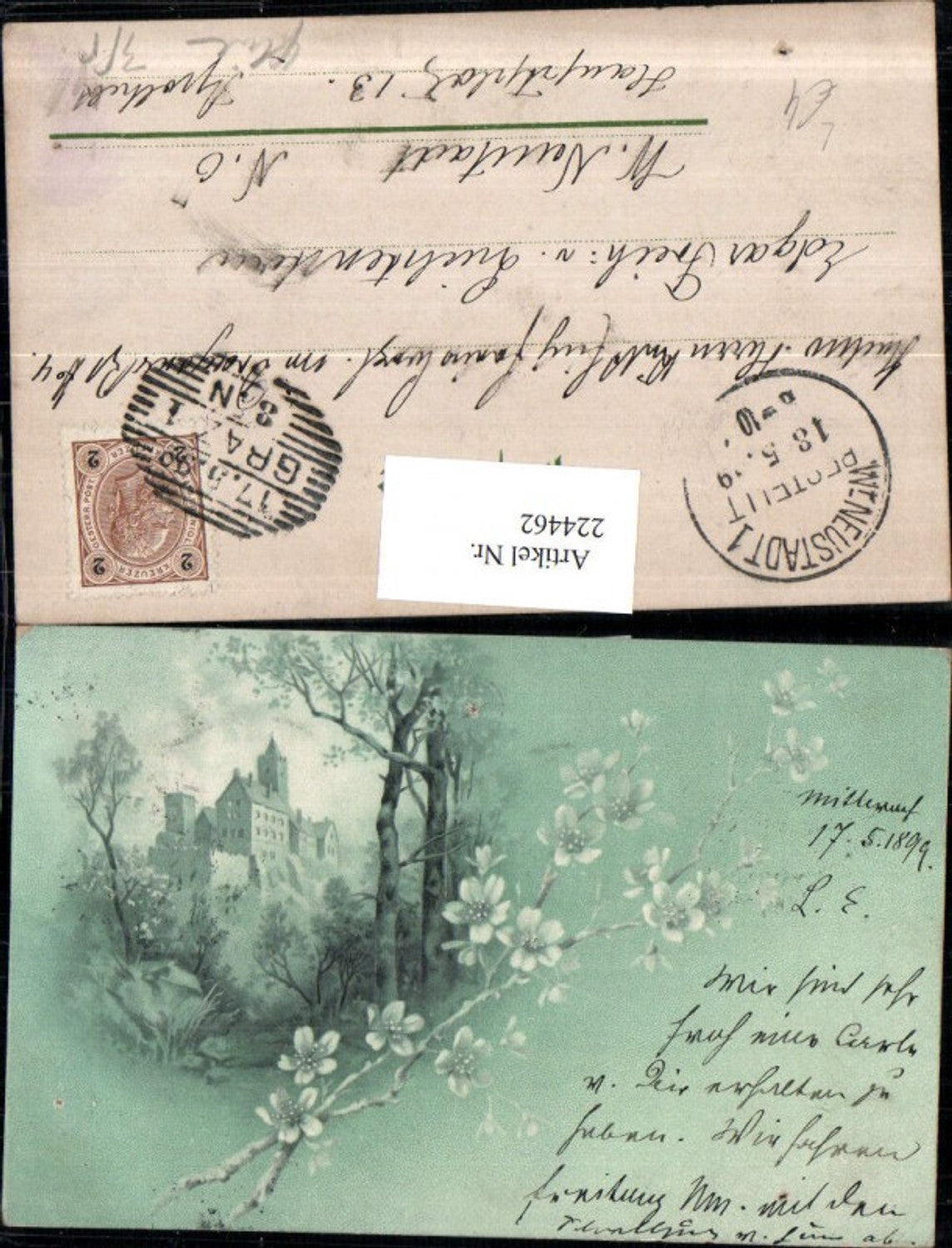 224462,Litho Künstler AK Schloss Burg Rosenzweig Zweig