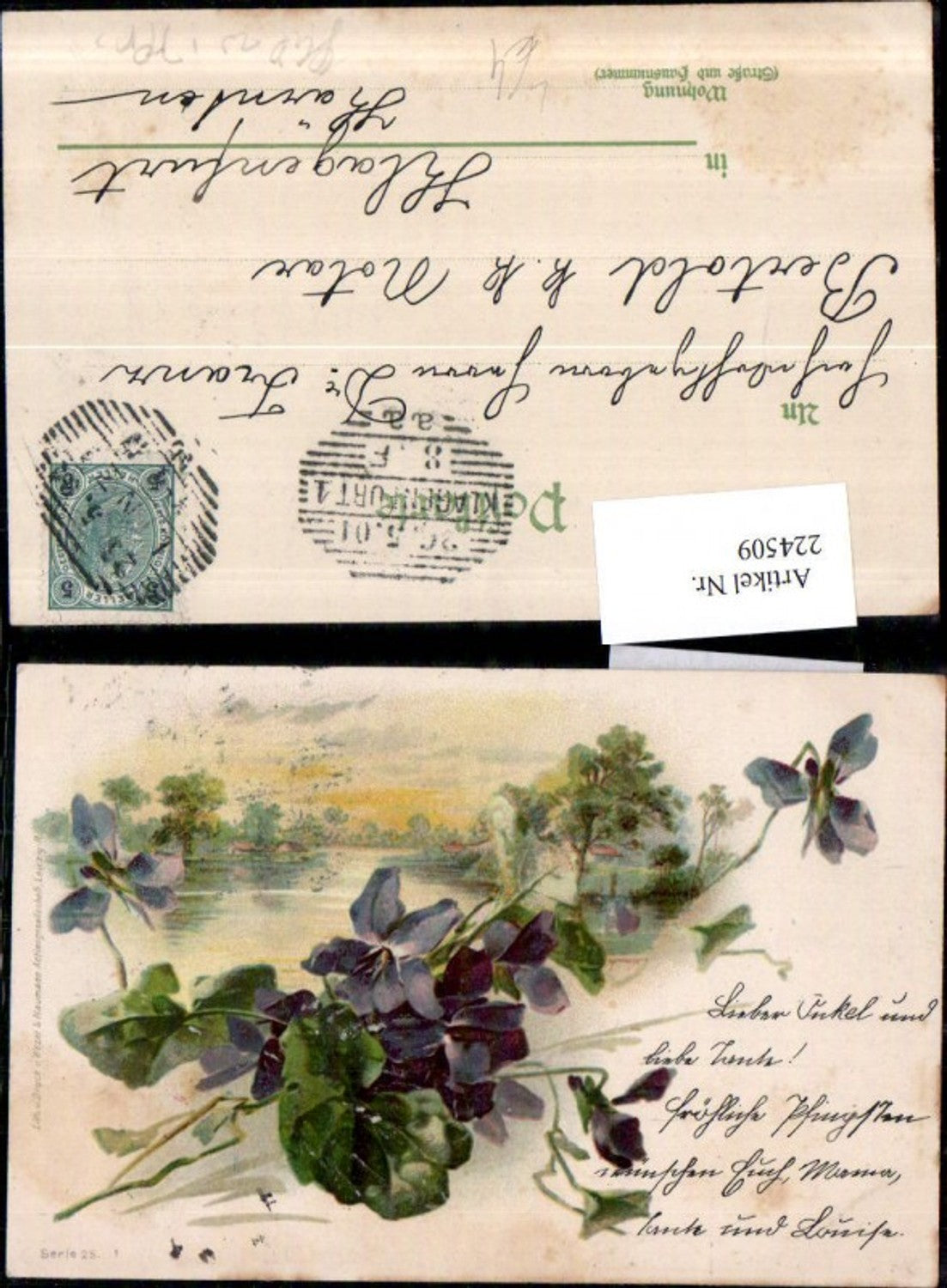 224509,Künstler Litho AK Landschaft Veilchen Blumen