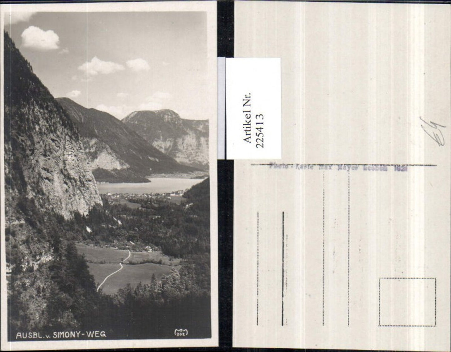 225413,Ausblick v. Simony-Weg auf Hallstatt