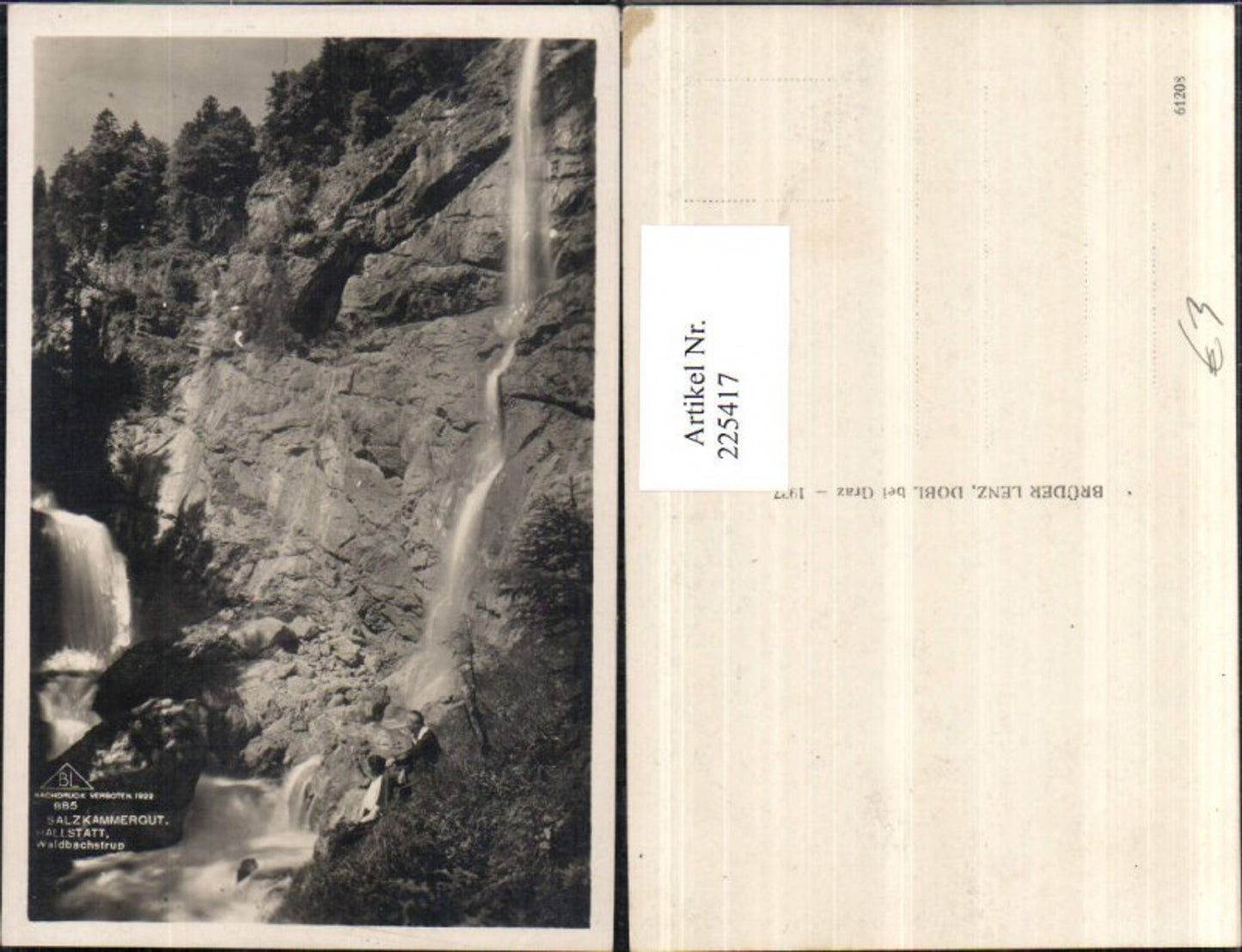 225417,Salzkammergut Hallstatt Waldbachstrup Partie