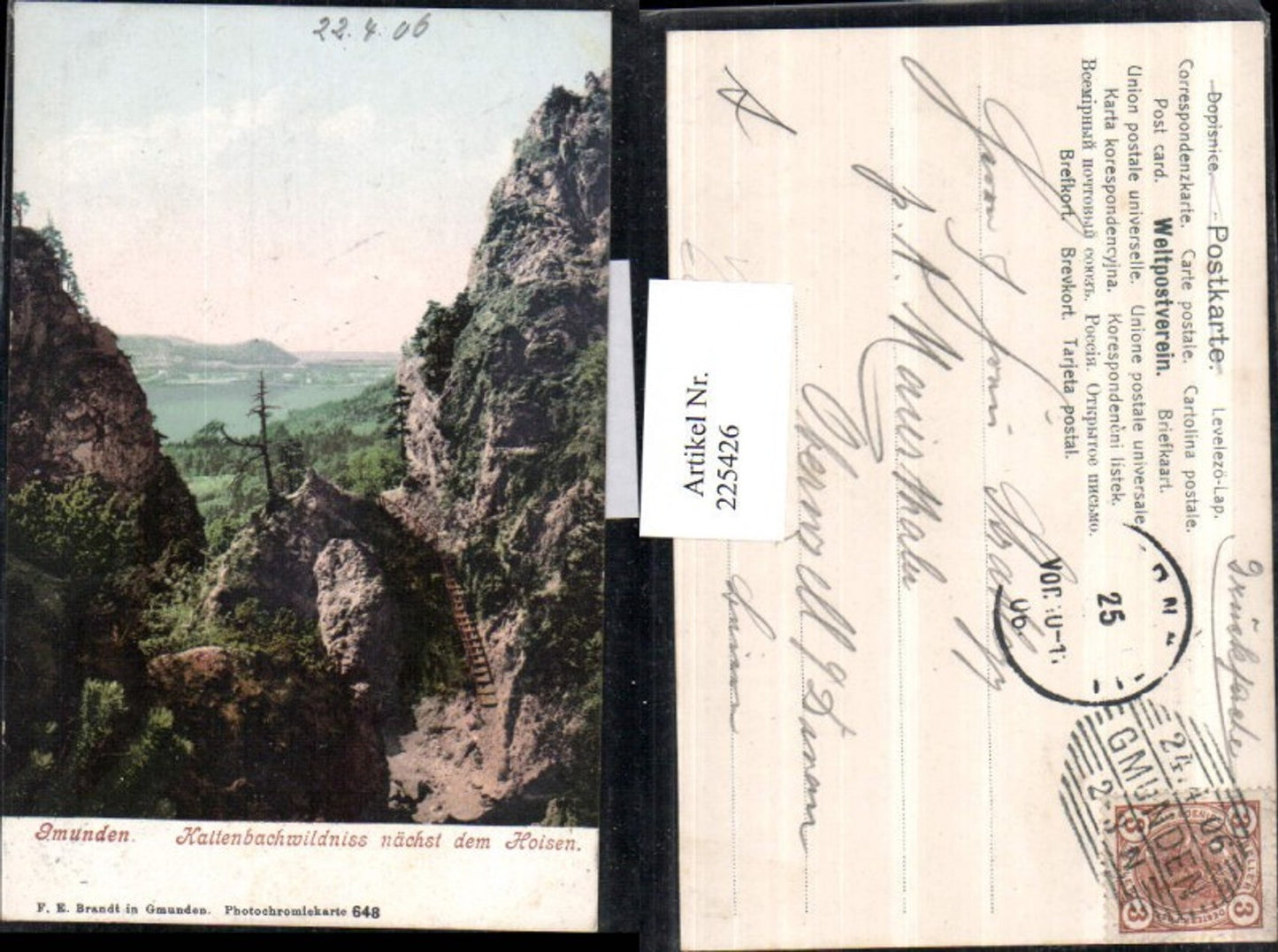 225426,Gmunden Kaltenbachwildniss nächst d. Hoisen pub F. E. Brandt 648
