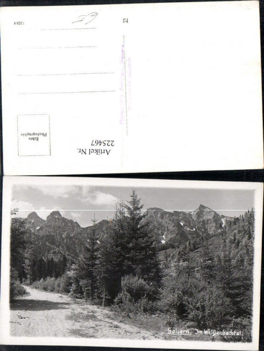225467,Goisern Im Weißenbachtal Partie Bergkulisse