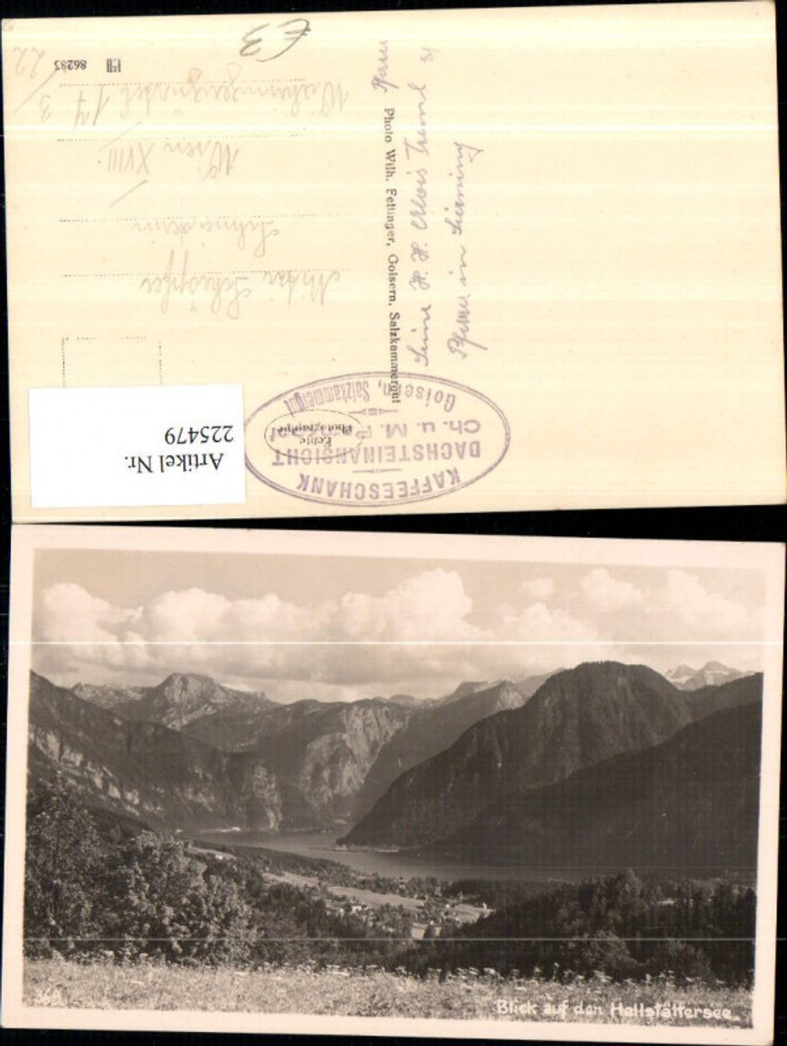 225479,Blick auf d. Hallstättersee b. Hallstatt Bergkulisse