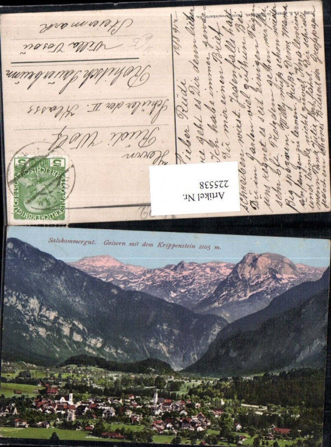 225538,Salzkammergut Goisern Totale m. d. Krippenstein pub F. E. Brandt 557