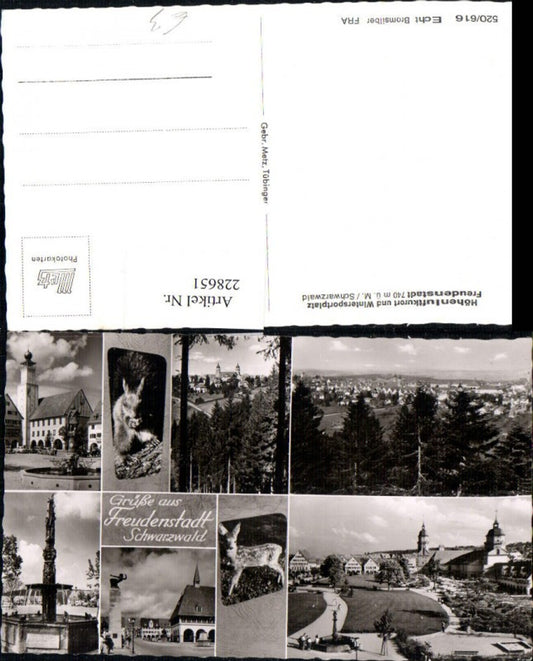 228651, Freudenstadt in the Black Forest, overall view of the church, fountain, deer, squirrel, multi-view postcard