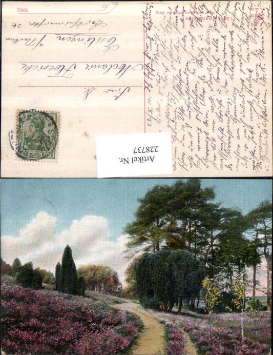 228737,Lüneburger Heide Weg nach d. Wilseder Berg Partie