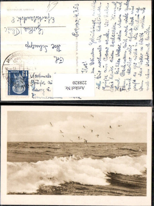 228820,Ostseebad Prerow Möwen im Flug Welle Partie