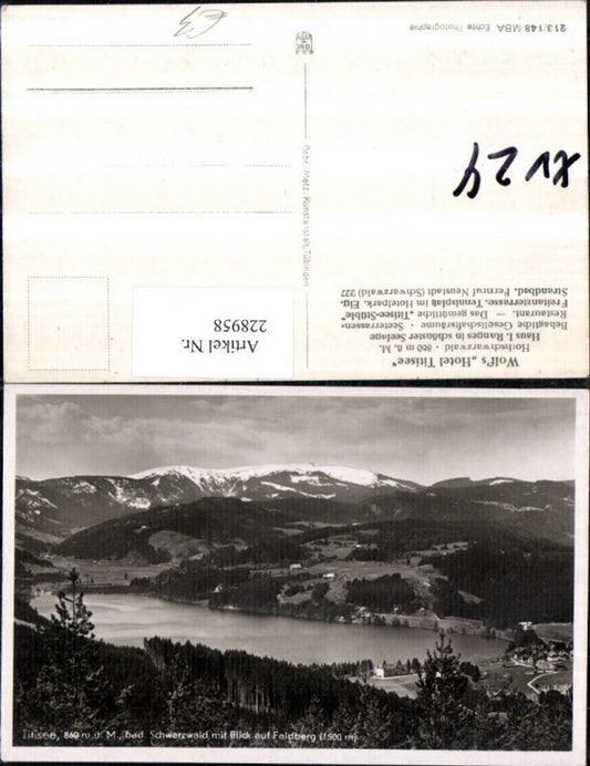 228958, Titisee Lake in the Black Forest with a view of Feldberg