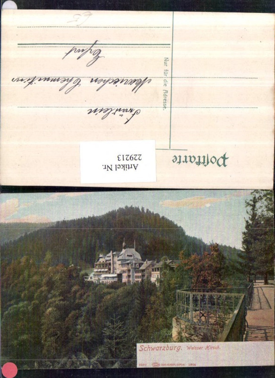 229213, Schwarzburg Weißer Hirsch im Schwarzatal