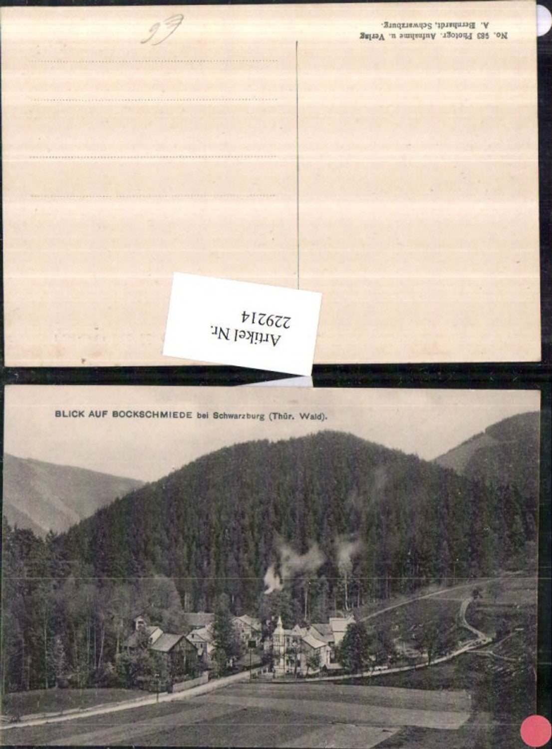229214,Blick auf Bockschmiede b. Schwarzburg im Thüringer Wald