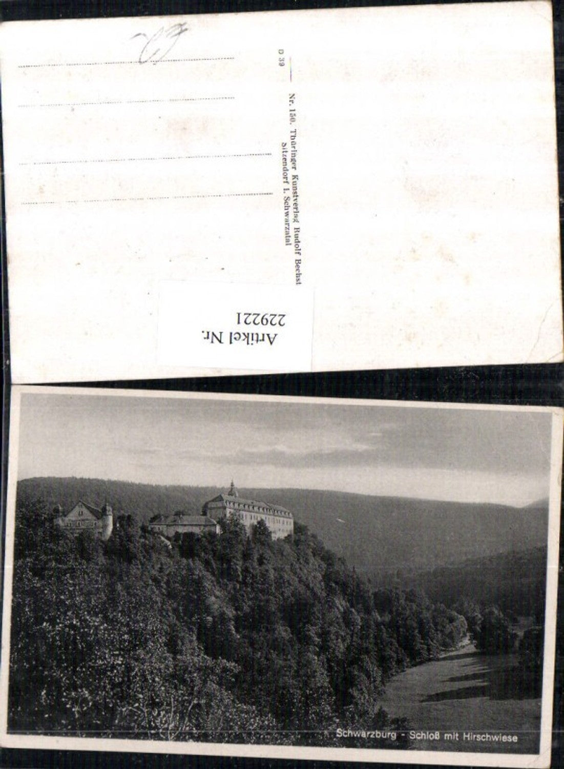 229221,Schwarzburg Schloss m. Hirschwiese