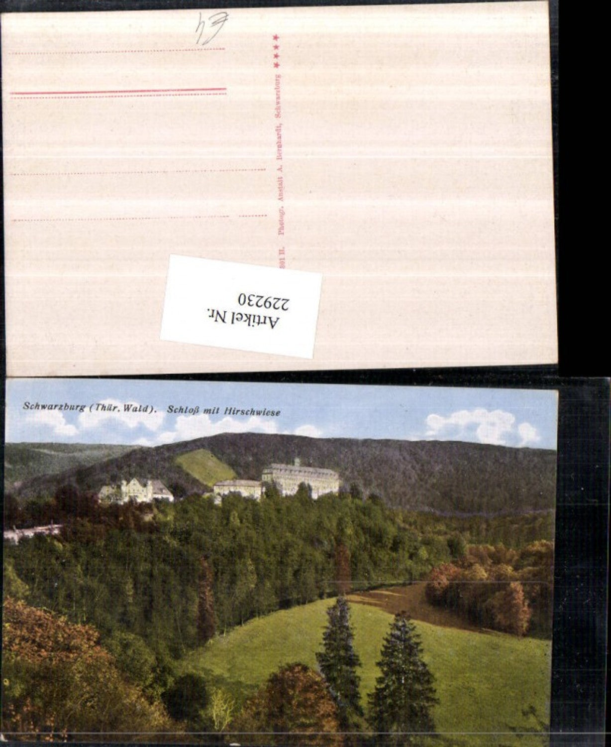 229230,Schwarzburg im Thüringer Wald Schloss m. Hirschwiese