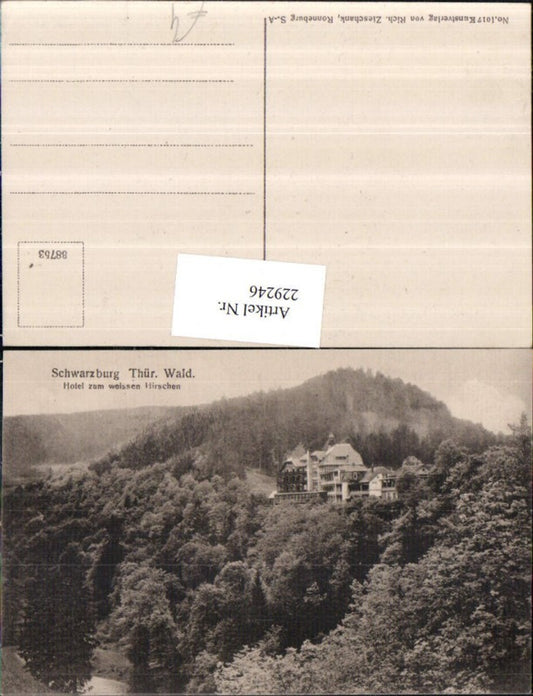 229246, Schwarzburg in the Thuringian Forest, Hotel zum weißen Hirschen