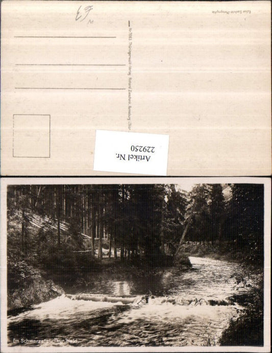 229250, In the Schwarzatal near Schwarzburg in the Thuringian Forest, section