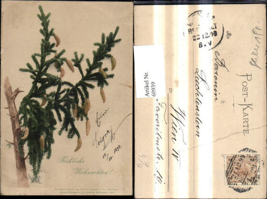 60939, Christmas fir branch cone