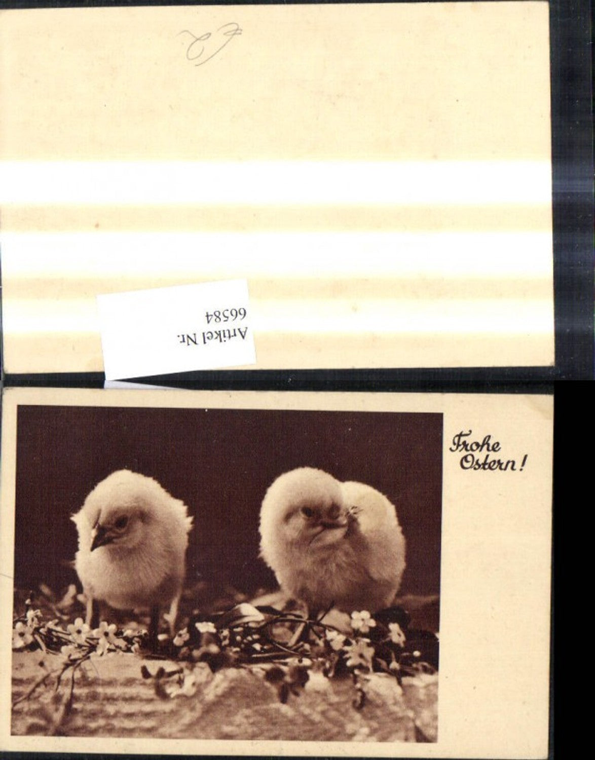 66584,Foto Ak Ostern Küken Blumen