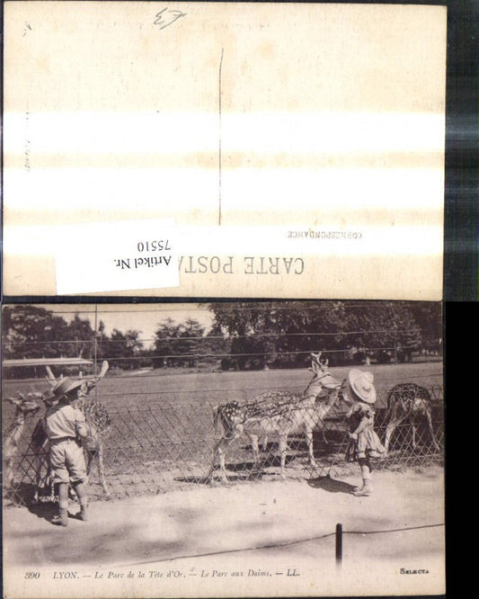 75510,Lyon Le Parc de la Tete d Or Le Parc aux Daims Rotwild Rehe Wild Tierpark Gehege