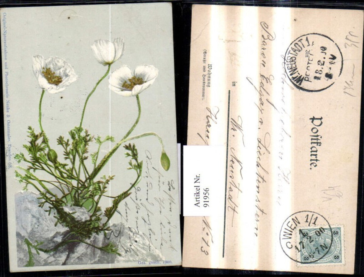 91956,Photochromie Nenke & Ostermaier 68 Blume Stein